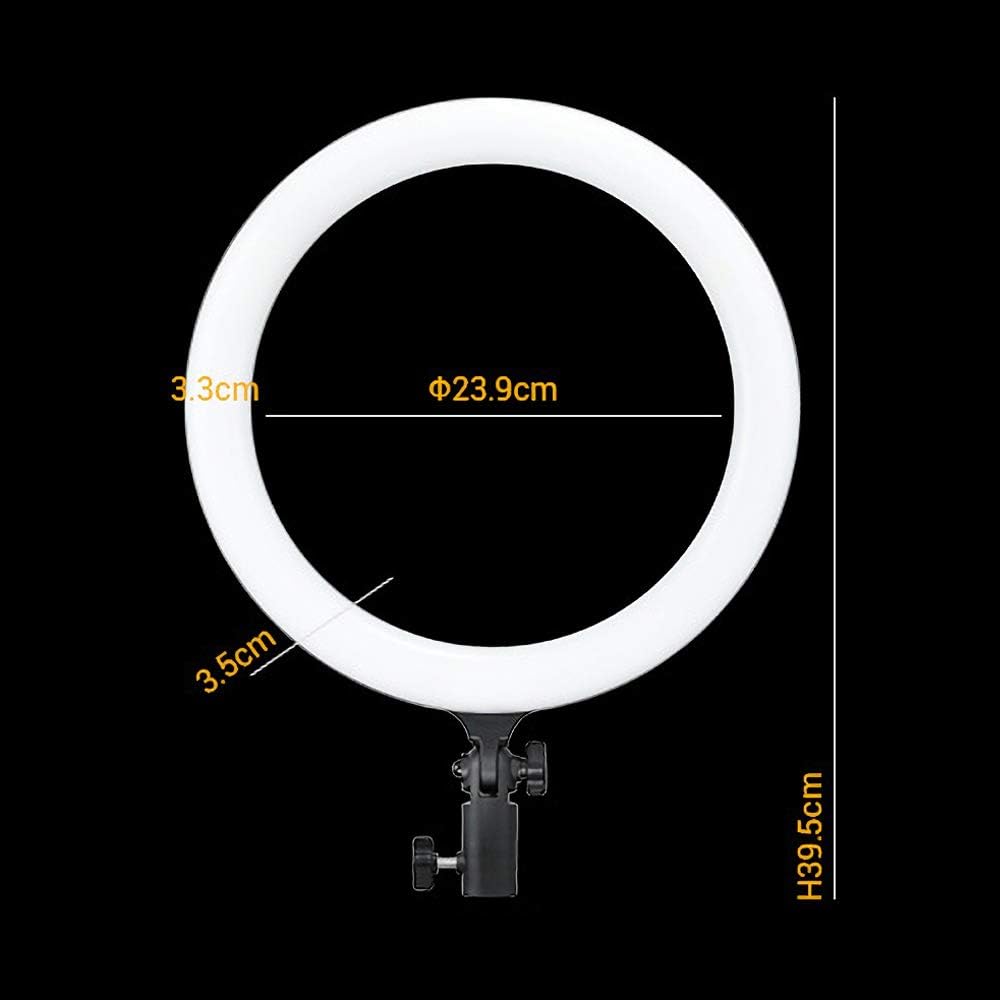 GODOX LR120 12 Inch LED Ring Light Photography Light Fill-in Light 3000K-6000K Bi-Color Temperature Adjustable Brightness USB Powered with Phone Holder for Live Streaming Selfie Makeup Photography