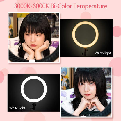 GODOX LR120 12 Inch LED Ring Light Photography Light Fill-in Light 3000K-6000K Bi-Color Temperature Adjustable Brightness USB Powered with Phone Holder for Live Streaming Selfie Makeup Photography