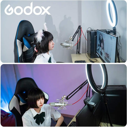 GODOX LR120 12 Inch LED Ring Light Photography Light Fill-in Light 3000K-6000K Bi-Color Temperature Adjustable Brightness USB Powered with Phone Holder for Live Streaming Selfie Makeup Photography