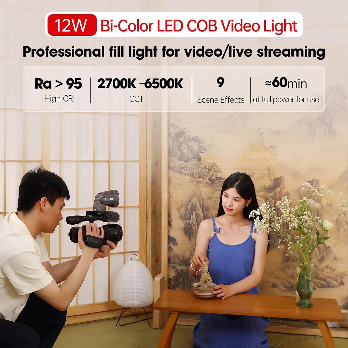 2-in-1 LED Video Light Flash Speedlite GN28 Round Head Rechargeable 2000mAh Battery HSS/TTL Support 3W Modeling Light Bi-Color Temperature 2700K6500K, CRI >95