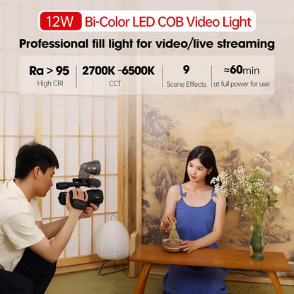 2-in-1 LED Video Light Flash Speedlite GN28 Round Head Rechargeable 2000mAh Battery HSS/TTL Support 3W Modeling Light Bi-Color Temperature 2700K6500K, CRI >95